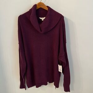 Terra and Sky Cowl Neck Sweater, Size 4X (28W -30W)